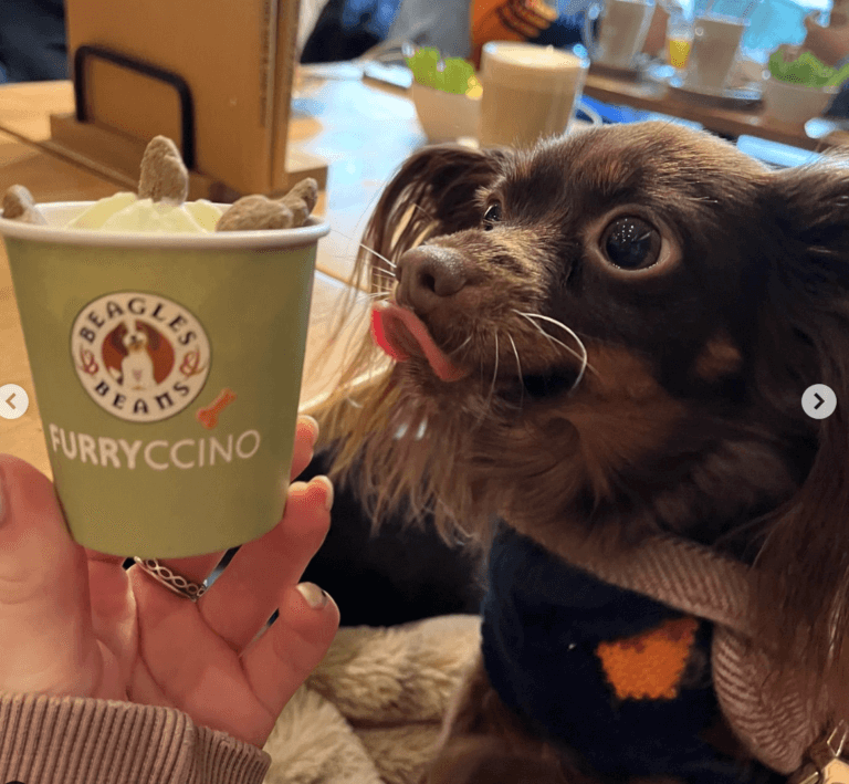 Scherm­afbeelding 2024-10-22 om 10.37.41